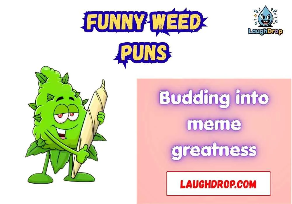 The Best Funny Weed Jokes 
