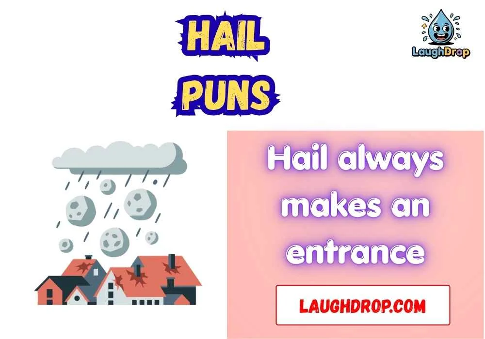 The Best Hail Jokes
