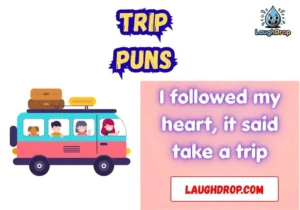 Trip Puns