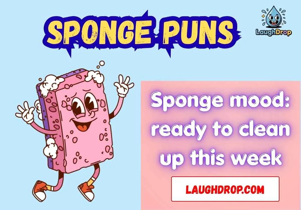 Clever Sponge Wordplay