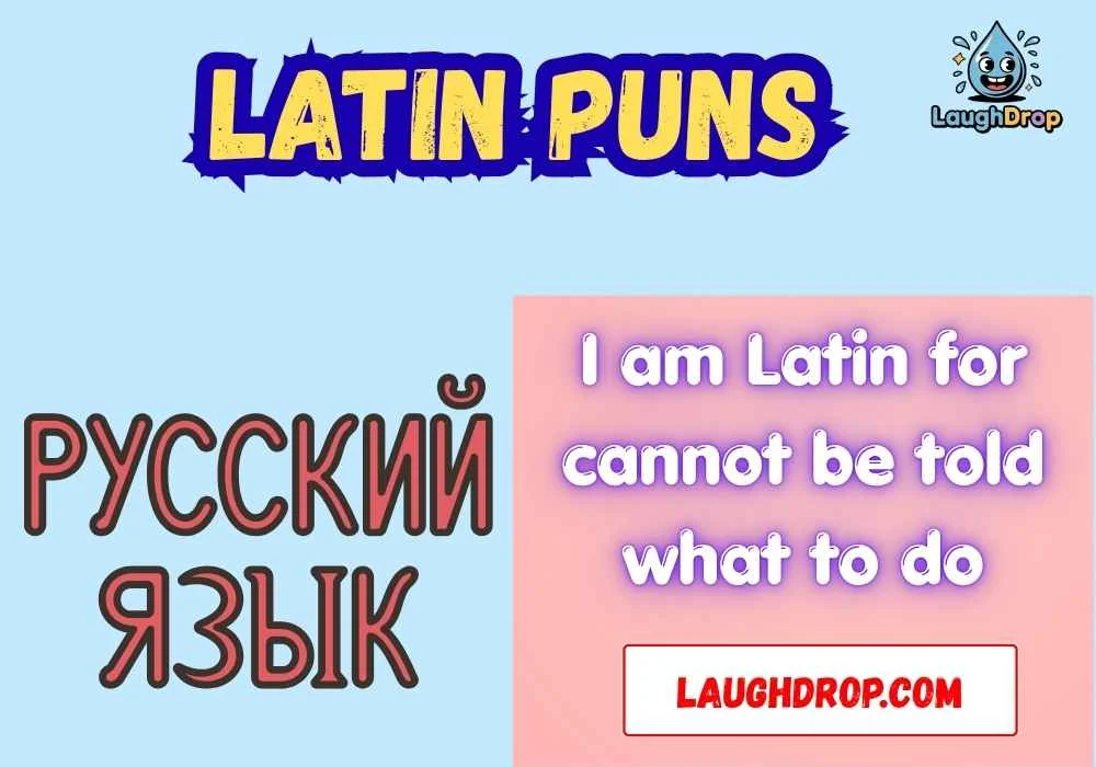 Latin Puns