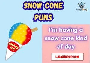 Snow Cone Puns